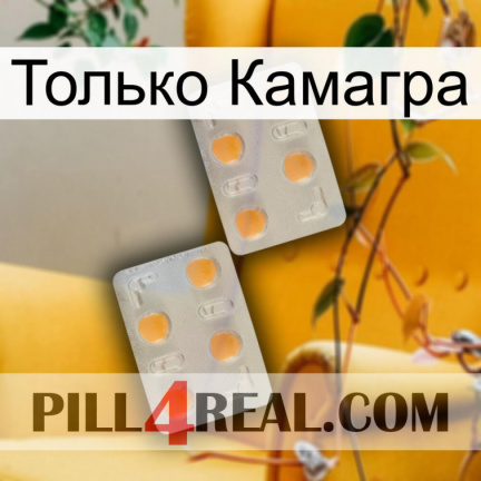 Только Камагра 25